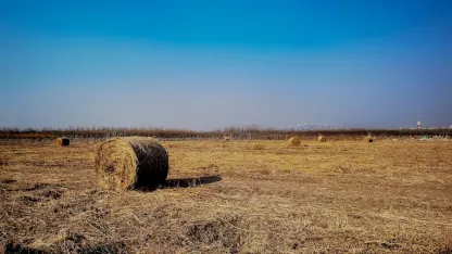 Kasino Adrenaline Apl Mudah Alih